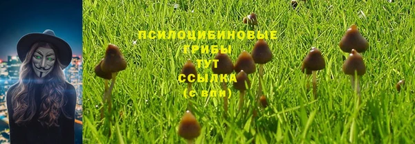 кокаин перу Алзамай