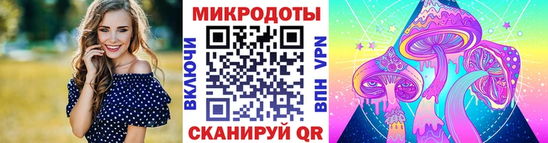 Галлюциногенные грибы Psilocybine cubensis Муравленко